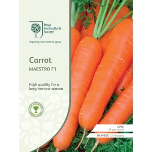 RHS Carrot Maestro F1, high-quality carrots for a long harvest season