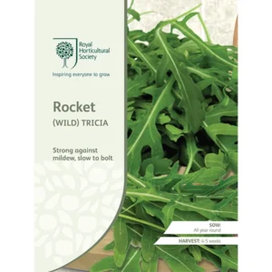 RHS Rocket Wild Tricia, slow-bolting rocket with strong mildew resistance.