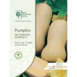 RHS Pumpkin (Butternut) Hunter F1