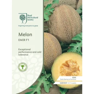 RHS Melon Emir F1, sweet cantaloupe with excellent performance and cold tolerance.