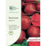 RHS BeetRoot Pablo F1