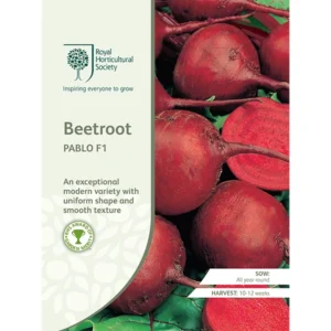 RHS Beetroot Pablo F1, modern variety with smooth shape and excellent flavor