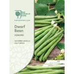 RHS Dwarf Bean Domino