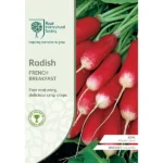 RHS Radish French Breakfast