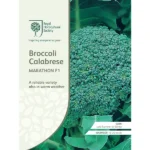 RHS Broccoli Calabrese Marathon F1