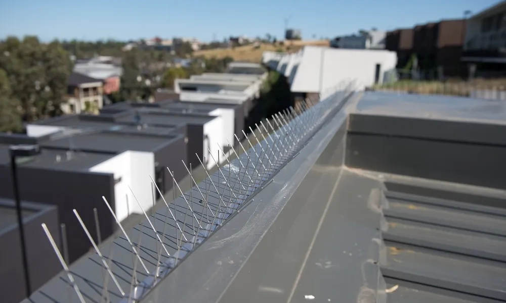 Urban rooftop with solar panels and surrounding buildings