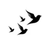 Silhouette of birds for a category featuring bird repellent products for gardens and homes.