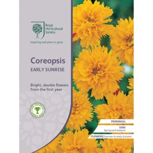 RHS Coreopsis Early Sunrise seed packet featuring vibrant yellow double flowers ideal for brightening gardens and attracting pollinators.