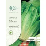 RHS Lettuce Crisp Mint (COS)