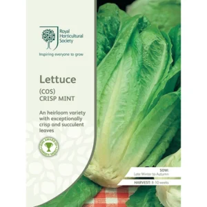 RHS Lettuce (Cos) Crisp Mint seed packet showcasing an heirloom variety with crisp, succulent leaves ideal for salads.