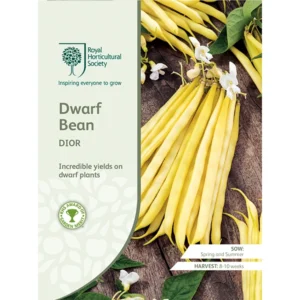 Packet of RHS Dwarf Bean Dior seeds featuring bright yellow bean pods on dwarf plants.