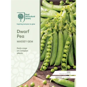 Packet of RHS Dwarf Pea Massey Gem seeds featuring vibrant green pods filled with peas on compact plants.