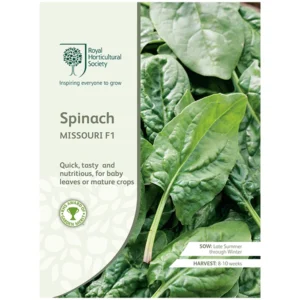 RHS Spinach Missouri F1, quick-growing, nutrient-rich spinach for baby or mature leaves