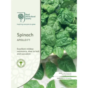 Packet of RHS Spinach Apollo F1 seeds featuring lush, dark green leaves known for excellent mildew resistance and slow bolting.