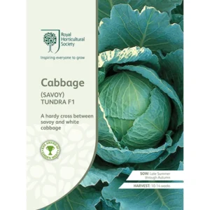 Packet of RHS Cabbage (Savoy) Tundra F1 seeds featuring a vibrant green savoy cabbage head with textured leaves.