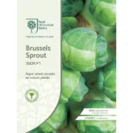 RHS Brussels Sprout Igor F1