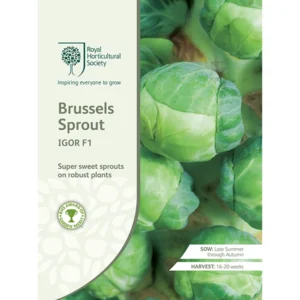 Brussels Sprout Igor F1 seed packet showing vibrant green sprouts on robust plants.