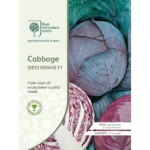 RHS Cabbage Red Rookie F1