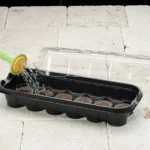 Jiffy Greenhouse Plant Starter Kit in use with seedlings and watering.