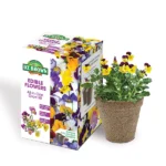 DT Brown Edible Flowers Grow Kit