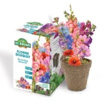 DT Brown Bouquet Flowers Grow Kit - A complete kit for growing vibrant, colorful flower bouquets with ease.