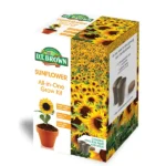 DT Brown Sunflower All-in-One Grow Kit - Easy-to-use kit for growing bright and vibrant sunflowers.