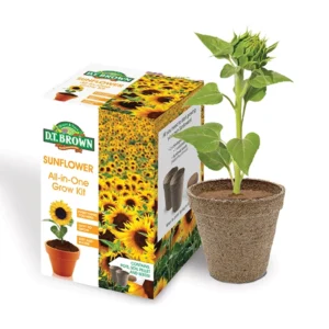 DT Brown Sunflower All-in-One Grow Kit - A complete kit for growing bright and cheerful sunflowers at home.