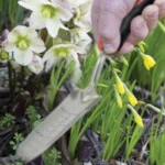 Stainless steel transplanter tool in use, precisely digging around plants in a flower bed for accurate transplanting.