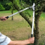 Heavy-duty pruning loppers with long ergonomic handles and sharp precision blades, ideal for cutting thick branches and hedges.