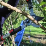 Bypass pruning loppers in use, cutting through a thick tree branch with precision, surrounded by greenery.