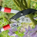 Close-up of anvil pruning loppers cutting a branch, showing sharp blades and ergonomic handles in use within a garden setting.