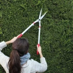 A gardener using Darlac Expert Pro Shear to trim a hedge, demonstrating its long handles and sharp blades for precise shaping.