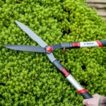 Long-handled garden shears trimming a lush green hedge, showcasing sharp blades and ergonomic grips in action.