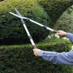 Long-handled garden shears being used to trim a tall hedge, highlighting extended reach and sharp blade performance.