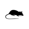 Silhouette of a rodent representing rodent control products for homes and gardens.