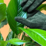 Green gardening gloves being worn while handling indoor plants, showcasing comfort and flexibility.