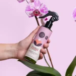 Hand holding Wild the Water Orchid Care spray bottle near a blooming orchid, designed for orchid hydration and health.