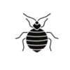 Illustration of a bed bug representing bed bug repellent products.