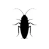 Illustration of a cockroach representing cockroach control products and solutions.