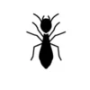 Illustration of a termite for termite control products category