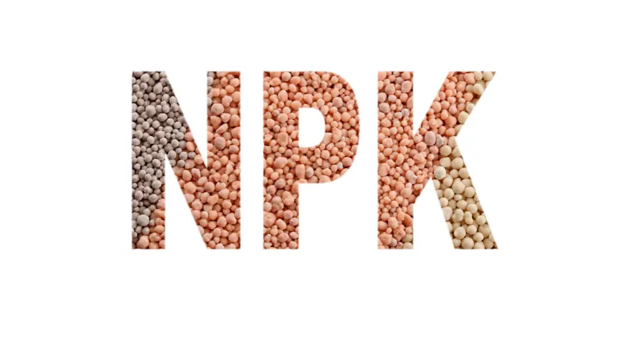 NPK Fertiliser guide showing the essential roles of Nitrogen, Phosphorus, and Potassium in plant growth and health