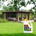 Seasol Lawn Care bottle displayed on healthy green lawn with garden pergola and outdoor living space in background