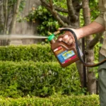 Seasol Super Soil Wetter being applied to garden with hose-on applicator. Professional gardener demonstrating proper application technique for soil treatment