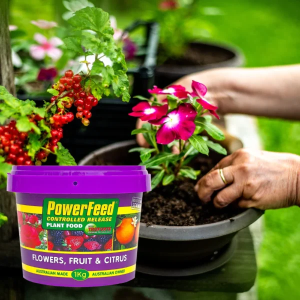 PowerFeed Controlled Release Fruit Flowers & Citrus 1kg for vibrant plant growth and abundant fruiting