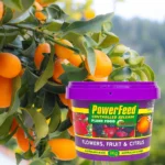 PowerFeed Controlled Release Fruit Flowers & Citrus 1kg for optimal growth in flowering and fruiting plants