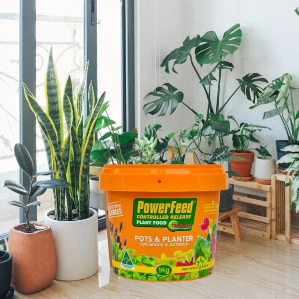 PowerFeed Controlled Release Flower and Citrus 1kg – Slow-release fertiliser for vibrant flowers and healthy citrus plants.