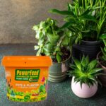 PowerFeed Controlled Release Flower and Citrus 1kg – Slow-release fertiliser for strong, healthy flowers and citrus plants.