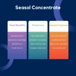 Seasol Concentrate benefits including plant health, heat resistance, and improved soil microbial activity for garden care.