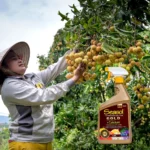 Seasol Gold RTU 1.25L – Liquid plant health tonic ready to use, boosts plant growth and improves soil condition.