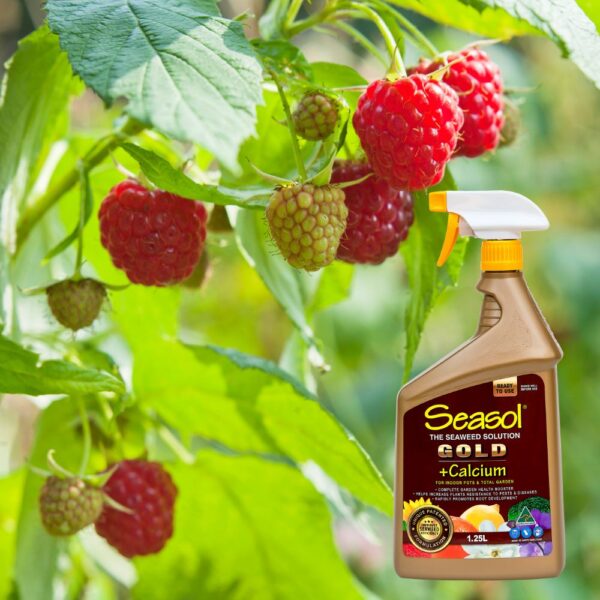 Seasol Gold RTU 1.25L – Ready-to-use liquid health tonic for plants, supports growth and soil health.